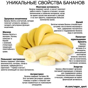 Польза сушенных бананов