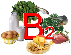 Продукты питания содержащие витамин b2.