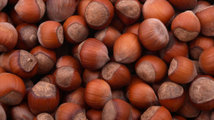 Чем полезен лесной орех для организма человека thumbnail