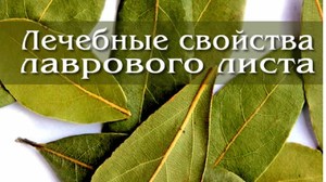 Изображение - Настойка из лаврового листа для суставов отзывы otchego_pomozhet_lavrovyy