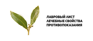 Изображение - Настойка из лаврового листа для суставов отзывы sostav_lavrovogo_lista