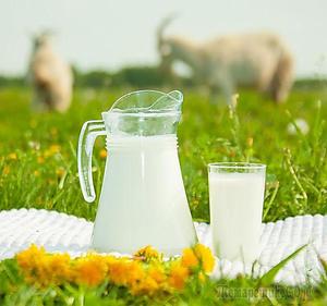 Как пить козье молоко
